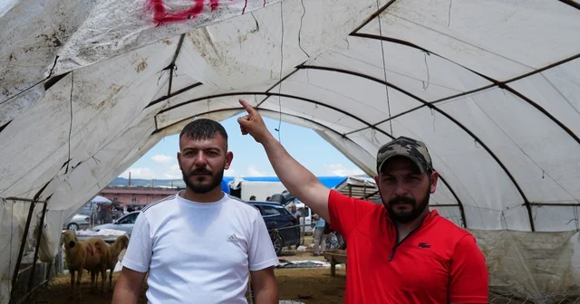 Kurbanlıklar alıcı buldu, yetiştirici bayrama mutlu girdi: Dedikleri fiyata verdik, milleti kurbansız göndermedik Kırıkkale Haberleri