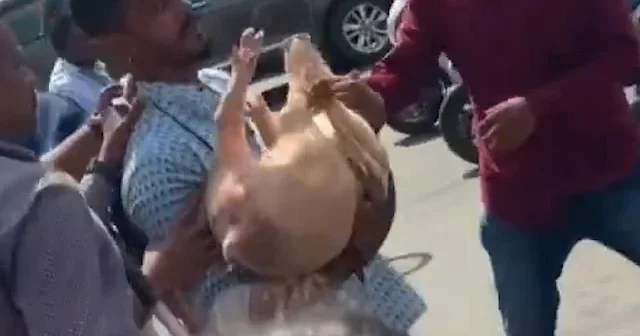 Kurban Bayramı pazarında çirkin provokasyon: Müslümanların alanına domuz getirdiler VİDEO İZLE