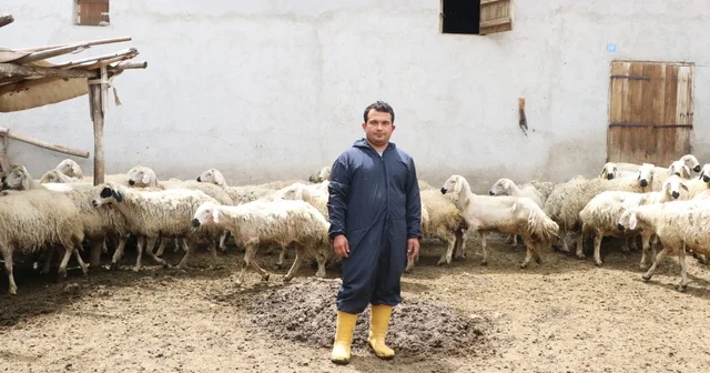 Hayvan sevgisiyle sağlığına kavuştu; köyüne dönüp modern tarım ve hayvancılığa başladı Kayseri Haberleri