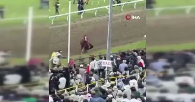 Japonya’daki festivalde at faciası: Kalabalığın arasına daldı, 6 kişi yaralandı