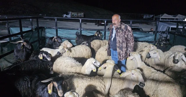 Elazığ da kurban pazarında uykusuz mesai: Geceyi hayvanlarının başında geçiriyorlar Elazığ Haberleri