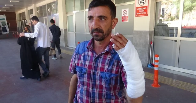 Şanlıurfa da bayramın ilk gününde 232 acemi kasap hastanelik oldu Şanlıurfa Haberleri