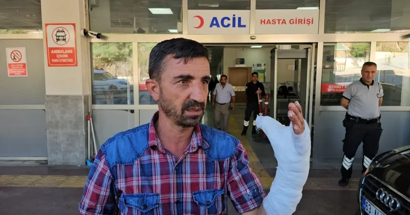 Şanlıurfa da acil doldu taştı: Kurban kesimi sırasında 232 kişi yaralandı