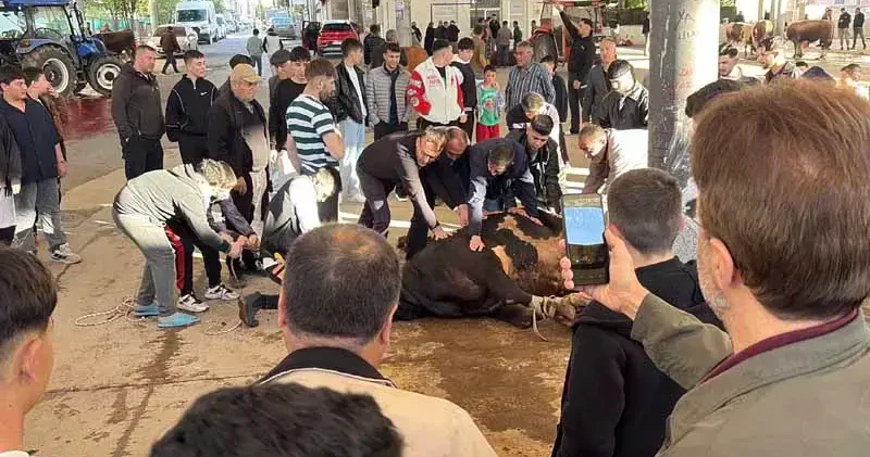 Sivas ta kurban kesim noktalarında hareketlilik