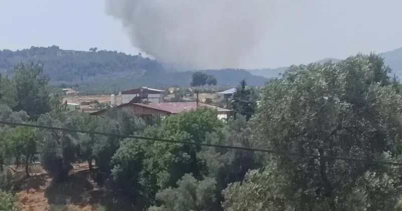Muğla da tarım arazisinde çıkan yangın ormana sıçradı