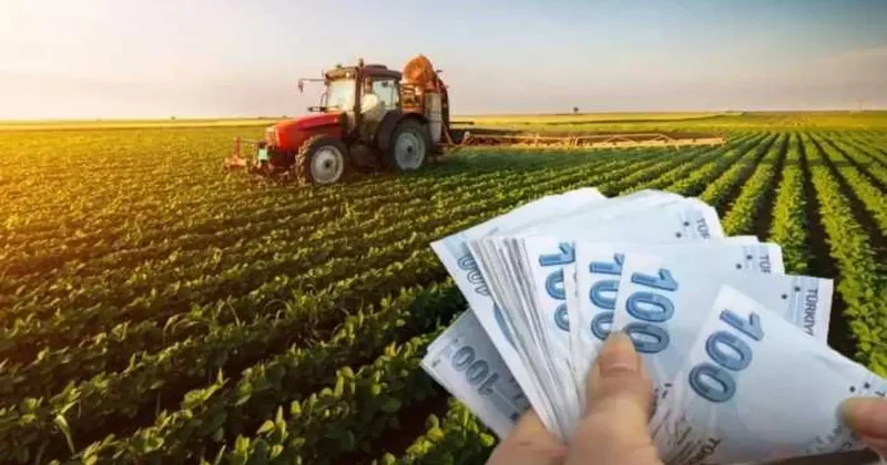 Çiftçinin beklediği haber geldi! Destek ödemeleri hesaplarda