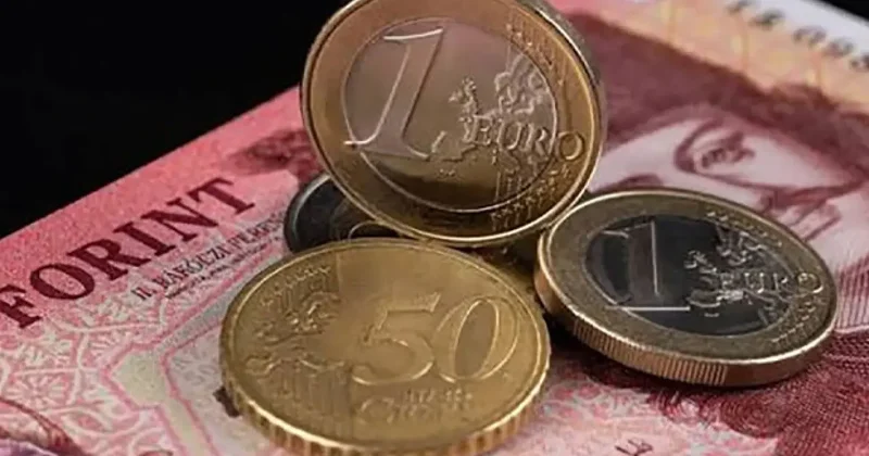 Yeni başbakan resmen açıkladı: Ülke Euro ya geçiyor!