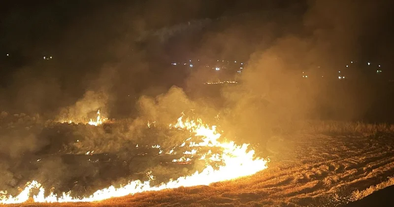 Siverek te Anız Yakan Şüpheli Yakalandı