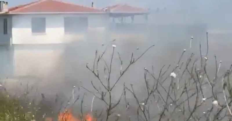 Buğday tarlasında çıkan yangın evlere sıçramadan kontrol altına alındı