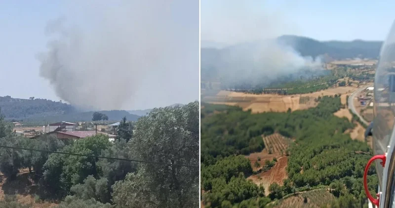 Muğla da orman yangını: Rüzgarın etkisiyle yayıldı Muğla Haberleri