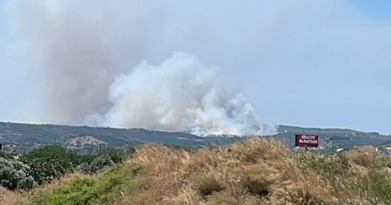 Çeşme de yangın! Alevlerle mücadele devam ediyor Sözcü Gazetesi