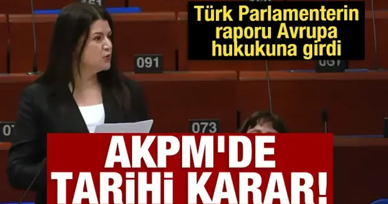 AKPM de tarihi karar: Türk Parlamenterin raporu Avrupa hukukuna girdi