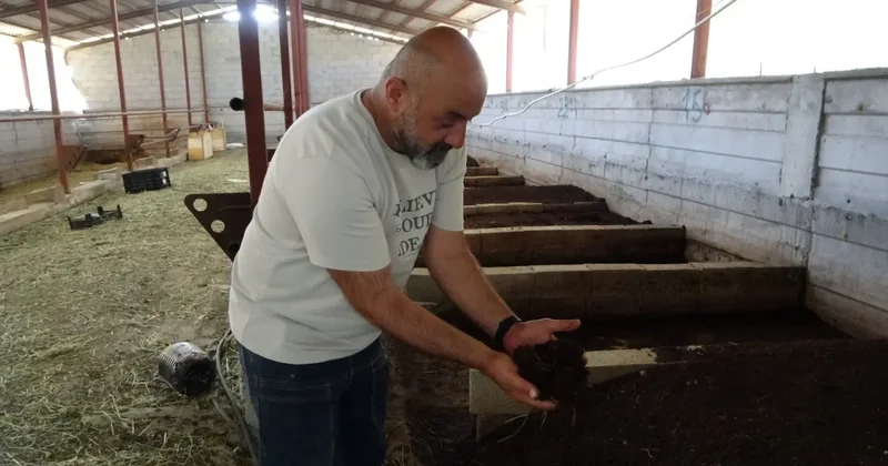 Evinin bahçesinde servet kapısı açtı: Yılda 6 tonluk doğal mucize!