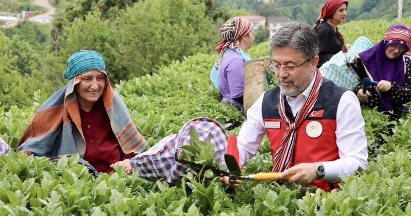 Beklenen ödeme banka hesaplarına yattı! Bakan Yumaklı ürticileri sevindirecek haberi verdi