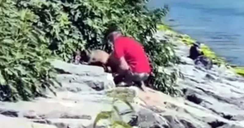 Avcılar Sahili’nde köpeğe şiddet kamerada