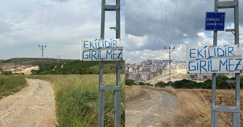 Konteyner yasak rant serbest Sözcü Gazetesi