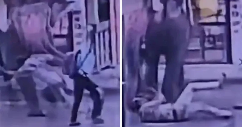 Elinden şeker yemişti! Fil Kendisine tatlı veren işçiyi ezerek öldürdü