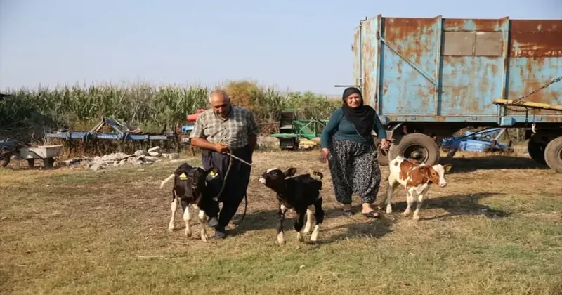 Yüz binde bir görülen vaka! Besici çift, sevinçten havalar uçtu