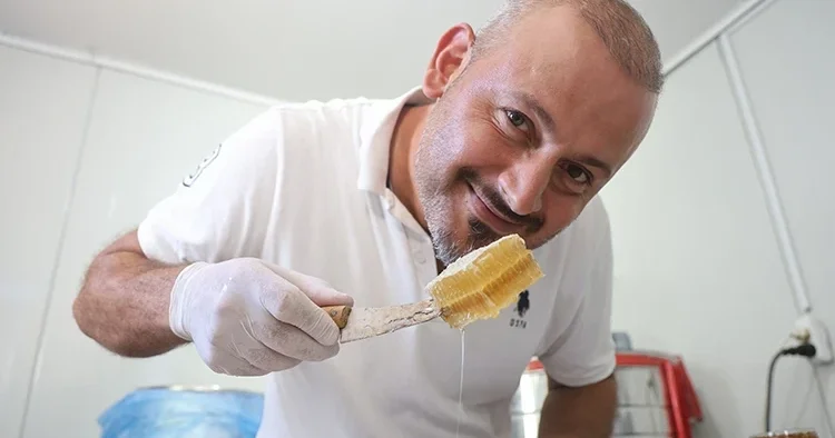 Hatay da yağışlı mevsim bitki çeşitliliğini artırdı: Arıcılar yüksek rekolte beklentisiyle sağım sezonunu açtı