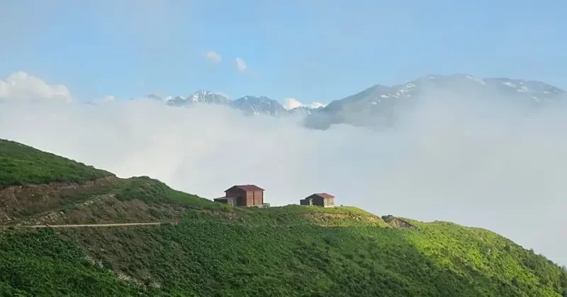 Rize de bulutların üzerindeki yayla görenleri büyüledi