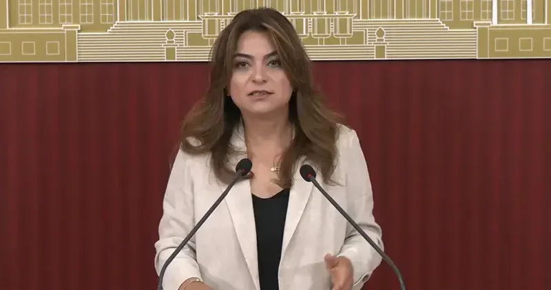 DEM Parti li Koçyiğit: Çerçeve yasanın Meclis kapanmadan çıkacağına dair bilgiyi teyit edebilirim