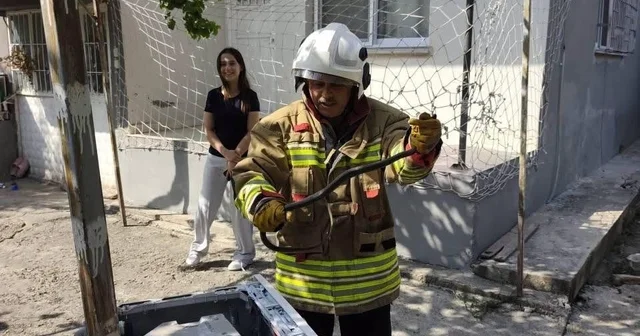 Hassa ve Erzin de yerleşim alanlarına giren yılanları itfaiye yakaladı Hatay Haberleri Habertürk Yerel Haberler