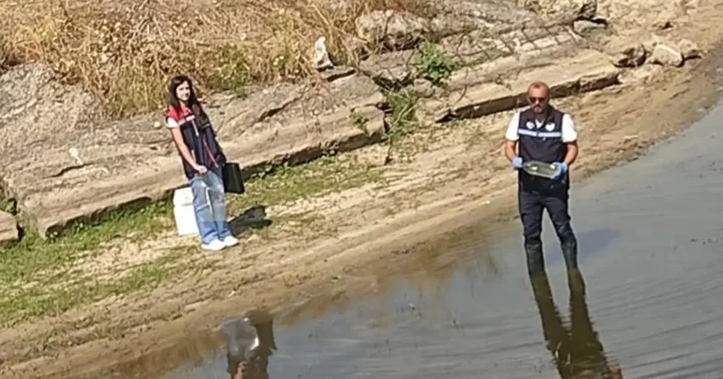 Edirne de toplu balık ölümlerinin yaşandığı göletten numune alındı