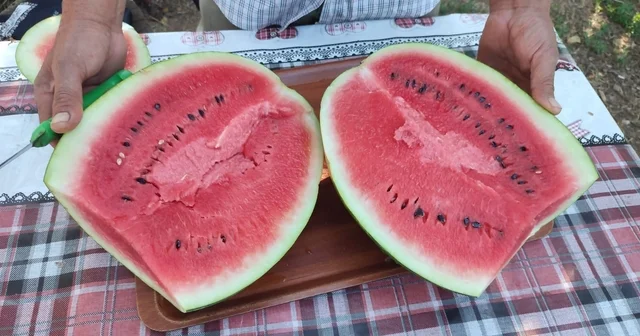 Denizli nin lezzet simgesi Dodurga Karpuzu tezgâhlara indi Denizli Haberleri Habertürk Yerel Haberler