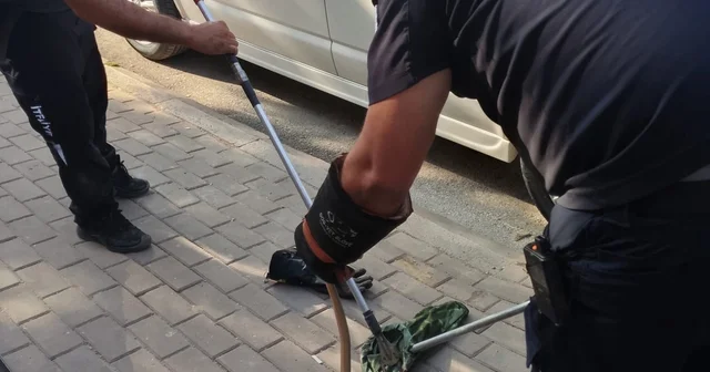 Park halindeki minibüsün motor kısmına giren yılanı itfaiyeciler çıkarıldı Bursa Haberleri Habertürk Yerel Haberler