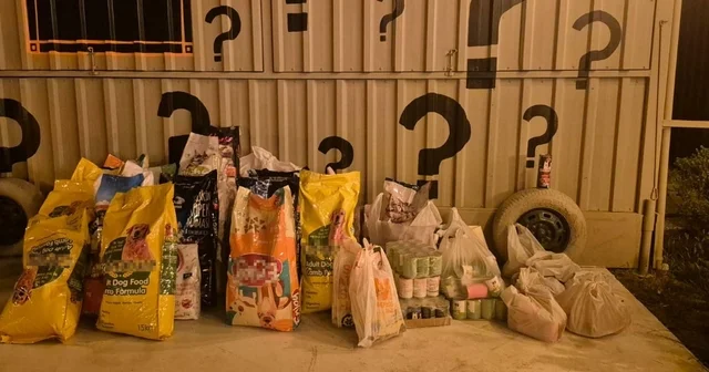 İzmir de Dünya Köpek Günü nde patili dostlar için 600 kilo mama toplandı İzmir Haberleri Habertürk Yerel Haberler