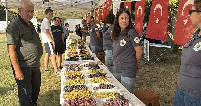Tekirdağ da Bağ Bozumu Şenliği düzenlendi