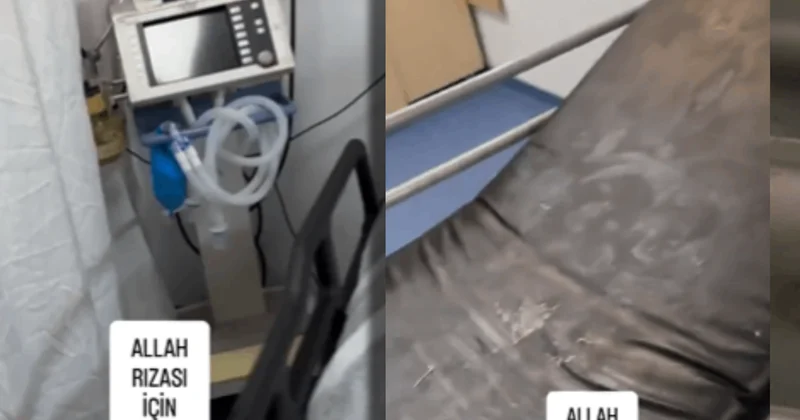 Sosyal medya ayağa kalkmıştı... Mide bulandıran görüntülerin ardından bakanlık harekete geçti Sözcü Gazetesi