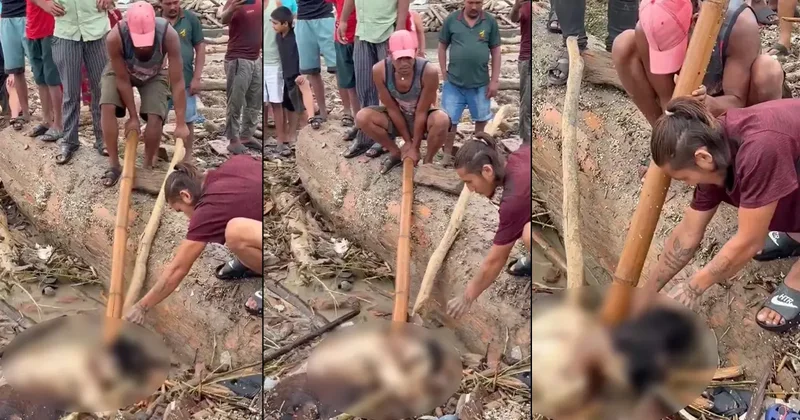 Cesetler üzerinde talan yarışı: Nepal deki sel felaketinde insanlık dışı görüntüler!