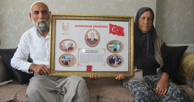 Şehit ailesinden Terörsüz Türkiye sürecine tam destek Başka analar ağlamasın Şanlıurfa Haberleri Habertürk Yerel Haberler