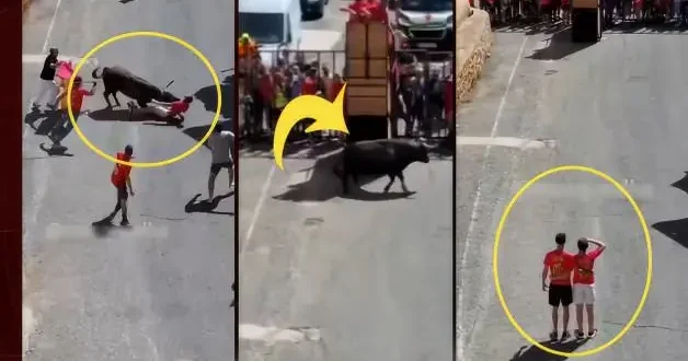 İspanya da kızgın boğanın saldırısı genci nakavt etti