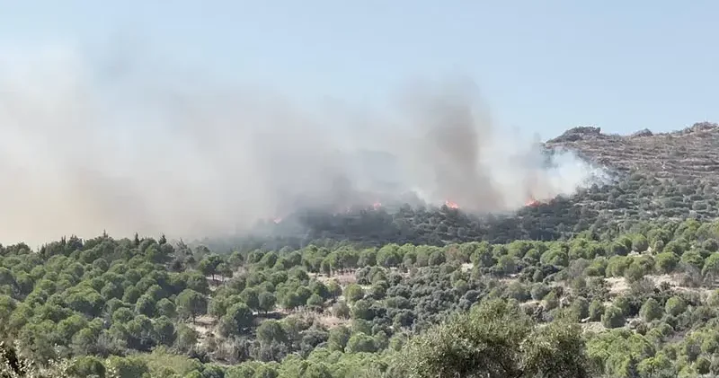 İzmir de orman yangını