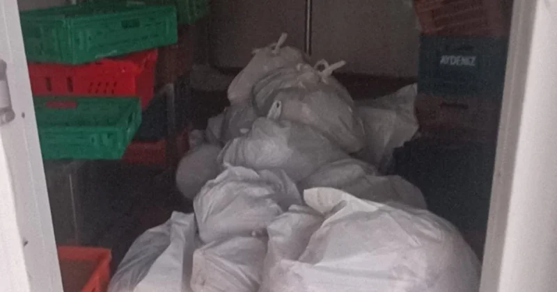 Kasap deposundan yaklaşık 400 kilogram bozuk et çıktı
