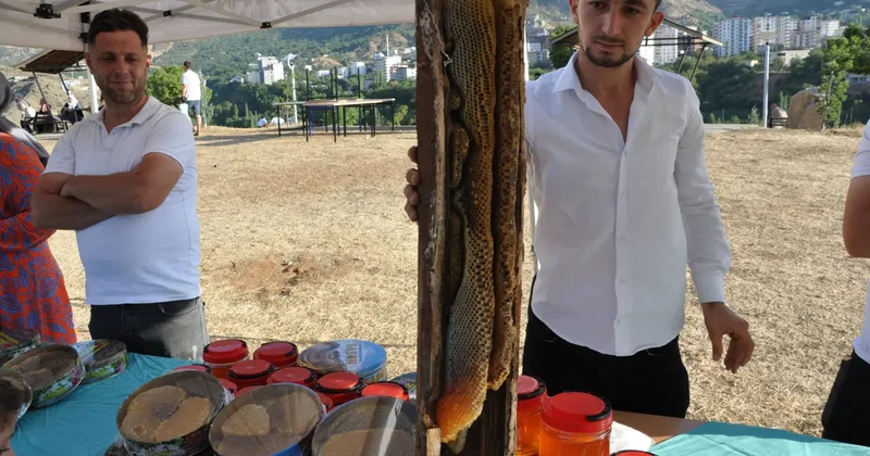 Batman da ağaç kavuğunda çıkartıldı! Kilogramı çeyrek altını geçti