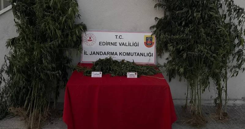 Kenevir sularken yakalandı! Son dakika haberleri