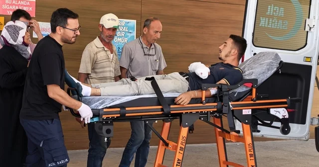 Motorlu testere ile odun keserken 3 parmağı koptu Bursa Haberleri Habertürk Yerel Haberler