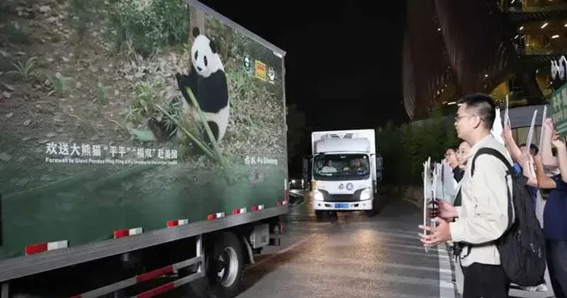 İki dev panda Çin’den ABD’ye yola çıktı