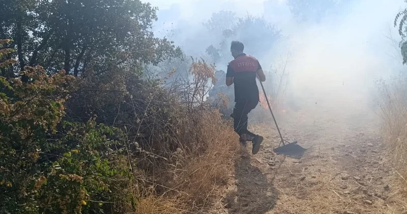 Siirt te orman yangını ekipleri harekete geçirdi Sözcü Gazetesi