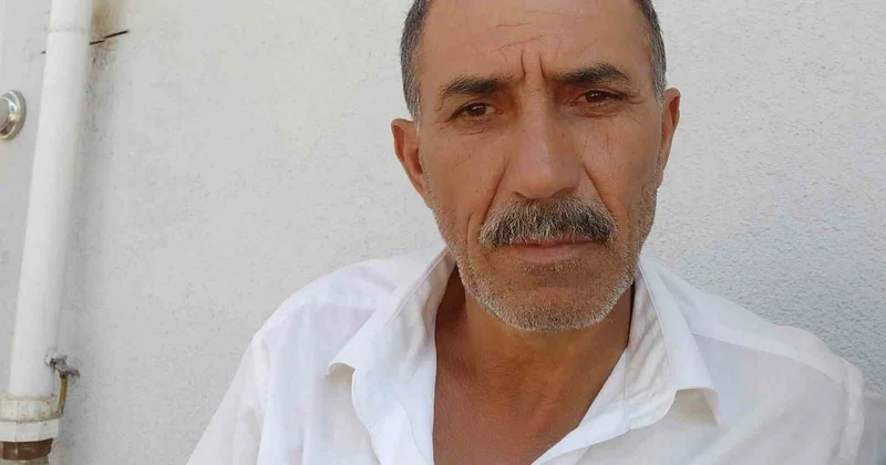 Çorum’da arı sokması can aldı! Doktorların müdahalesi yetmedi
