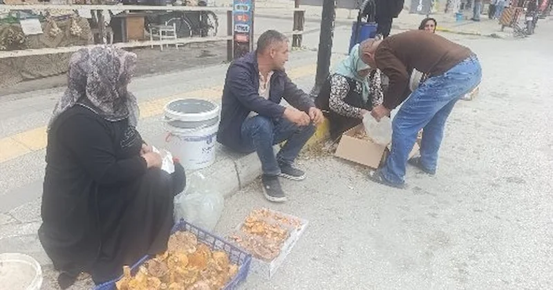 Dağdan toplayıp kilosunu 250 TL den satıyorlar Sözcü Gazetesi