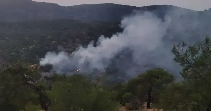 Gaziantep’te orman yangını; 4 dönüm alan zarar gördü