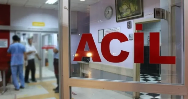 Arı sokması sonrasında rahatsızlanan vatandaş hayatını kaybetti