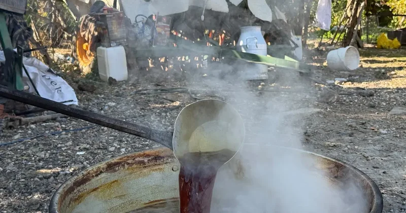 Eskişehir’de geleneksel yöntemlerle pekmez mesaisi