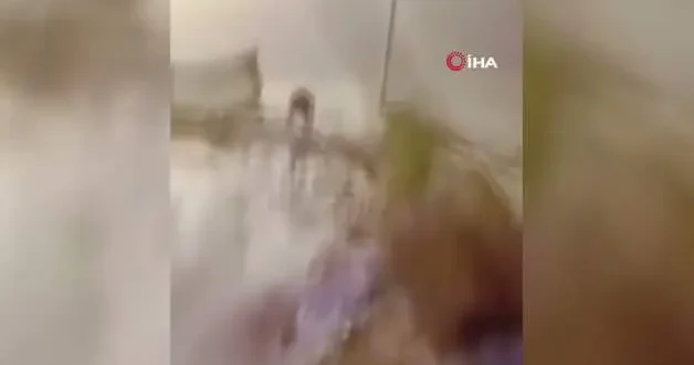 Kardeş kavgası kanlı bitti! Tartıştığı ağabeyine aracıyla çarptı