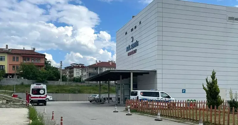 Kastamonu da orman işçisi, arı sokması sonucu öldü