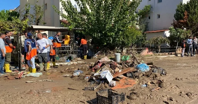 Foça da selin izleri siliniyor İzmir Haberleri